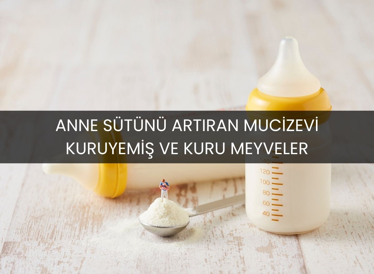 Anne Sütünü Artıran Mucizevi Kuruyemiş ve Kuru Meyveler