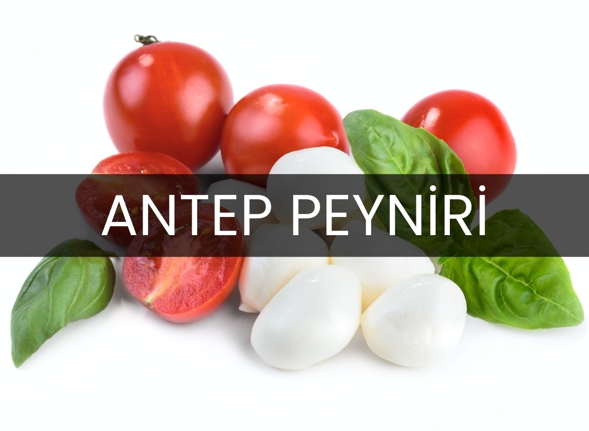 antep-peynirinin-sofralardaki-yeri-ve-dogru-tuketim-sirlari