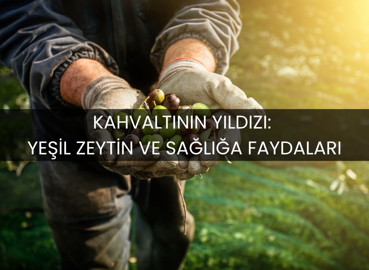 kahvaltinin-yildizi-yesil-zeytin-ve-sagliga-faydalari