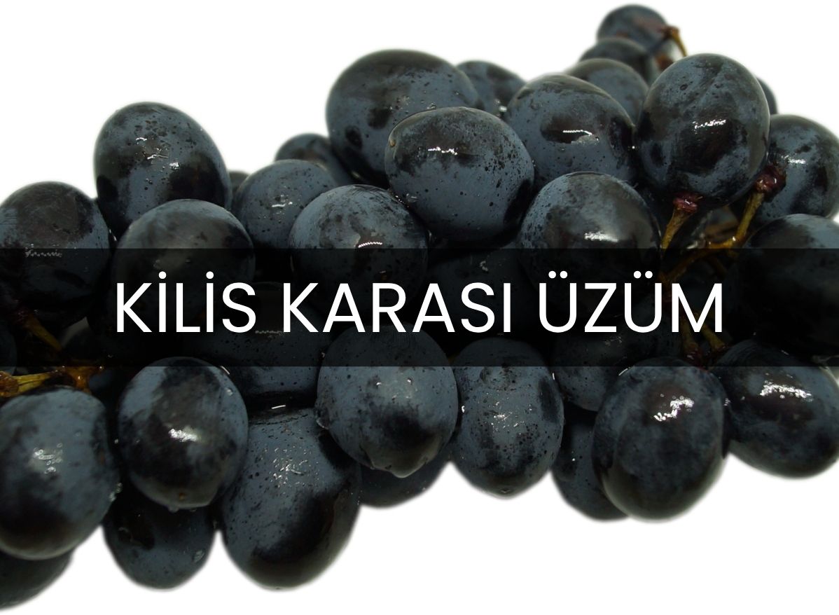 Kilis Karası Üzüm: Güneydoğu'nun Kara İncisi ve Şifa Kaynağı