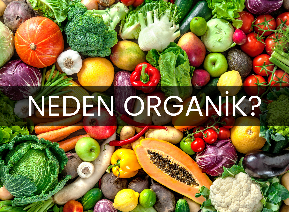 neden-organik-urunler-tuketmeliyiz