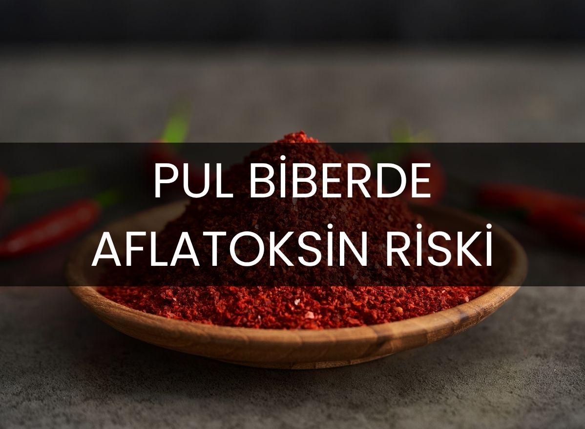 pul-biberde-aflatoksin-riski-ve-baharatlarin-sagliga-etkileri