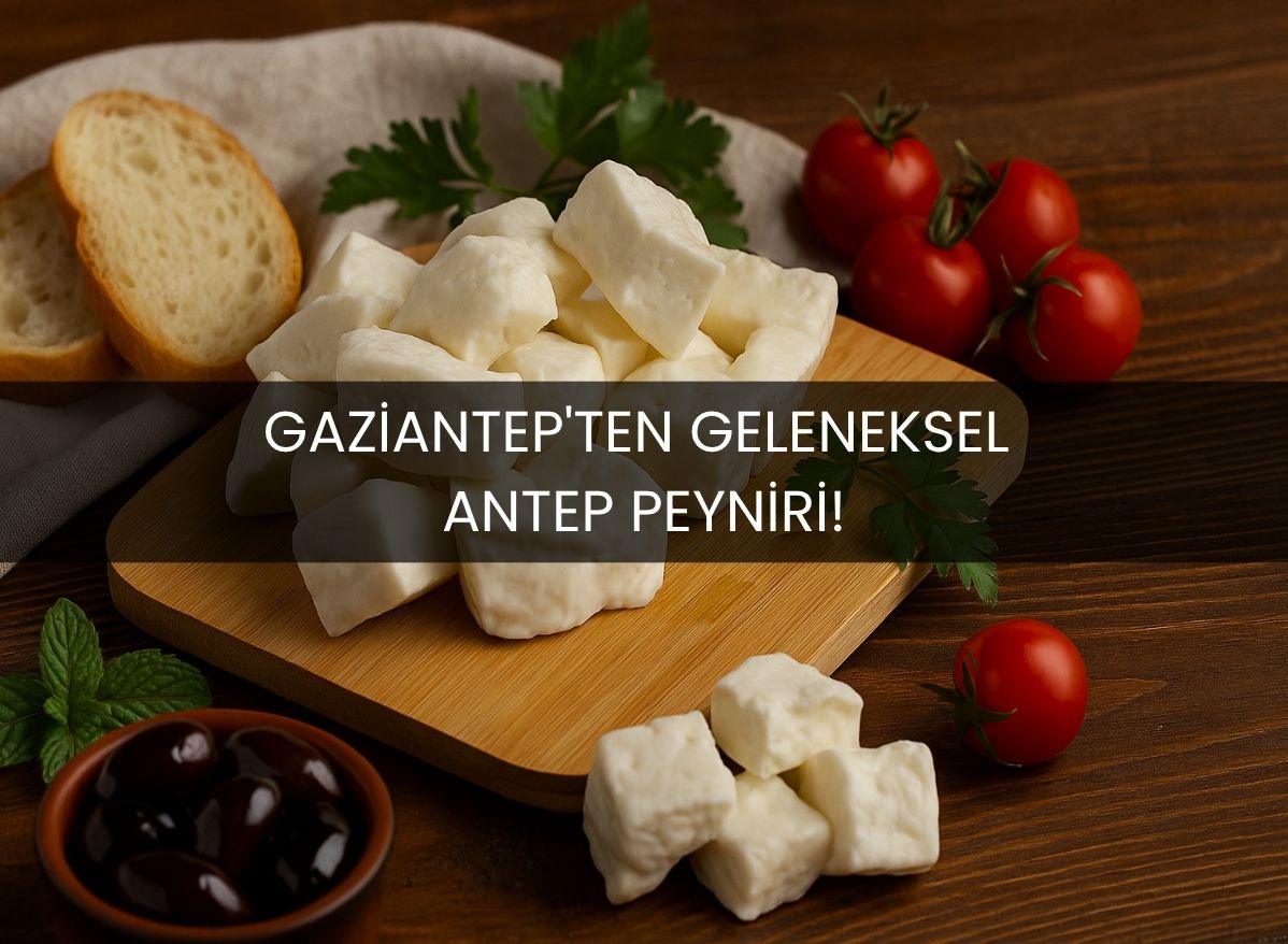 antep inek peyniri ve antep keçi peyniri