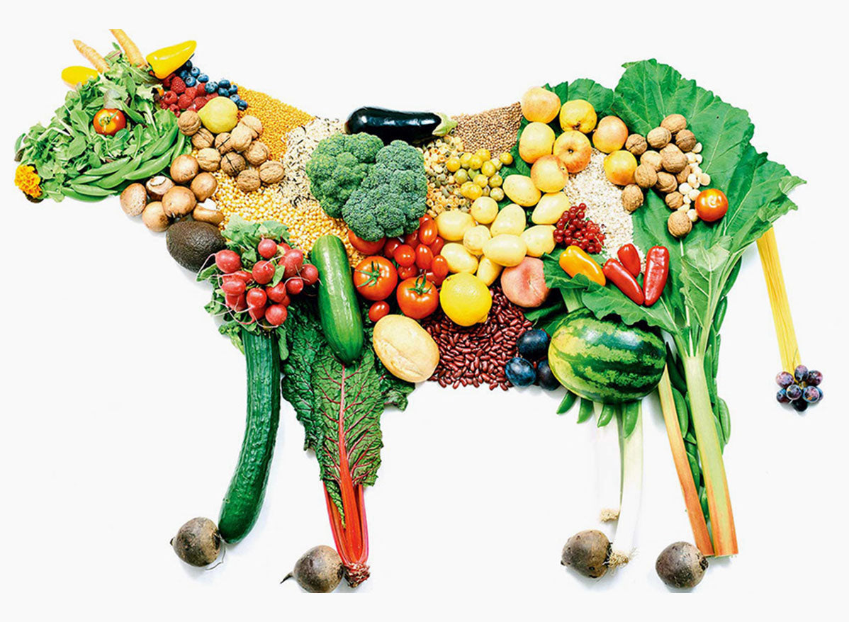 vegan nedir vegan neye denir ben gurme