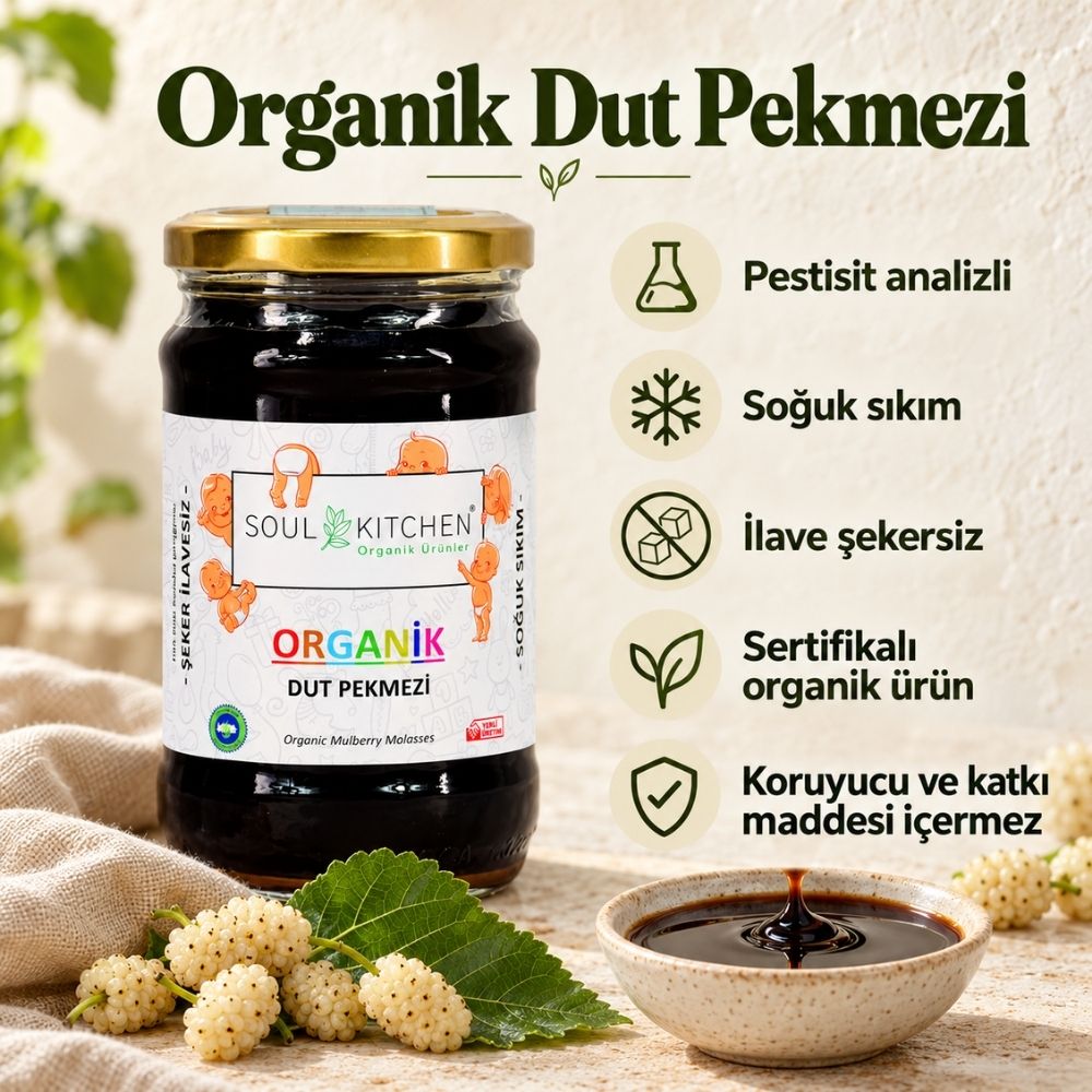 Organik Dut Pekmezi 380 g – İlave Şekersiz