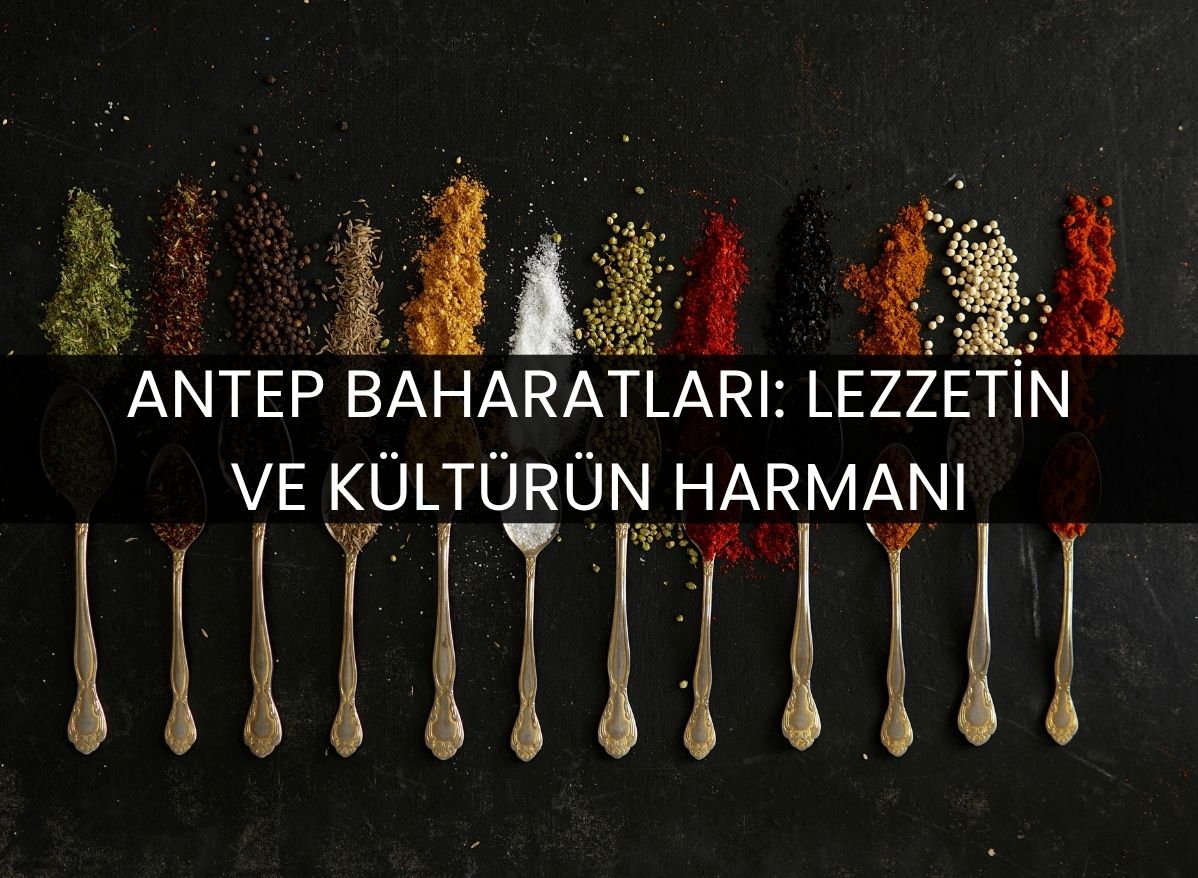 doğal antep baharatları ben gurme
