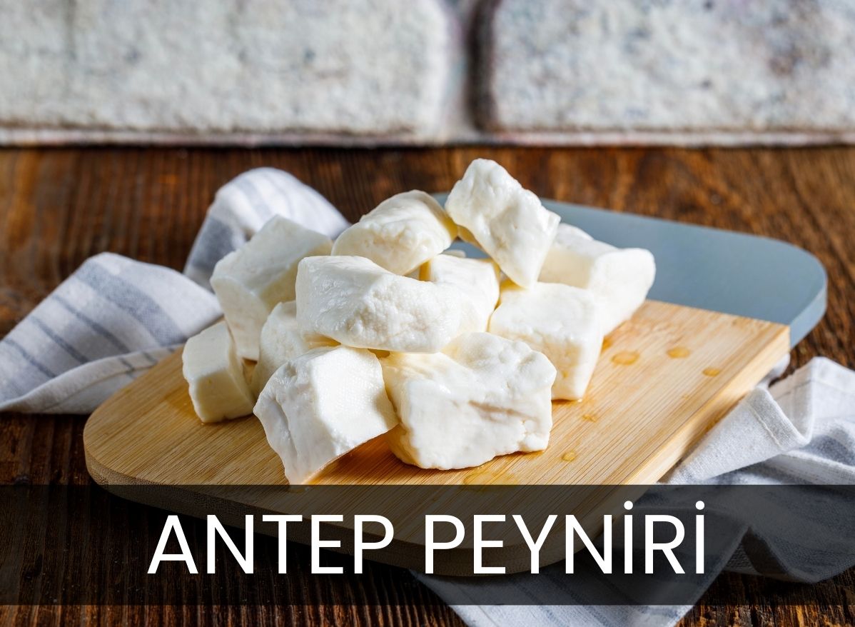 Antep Peyniri: Gelenekten Sofraya Uzanan Lezzet Yolculuğu
