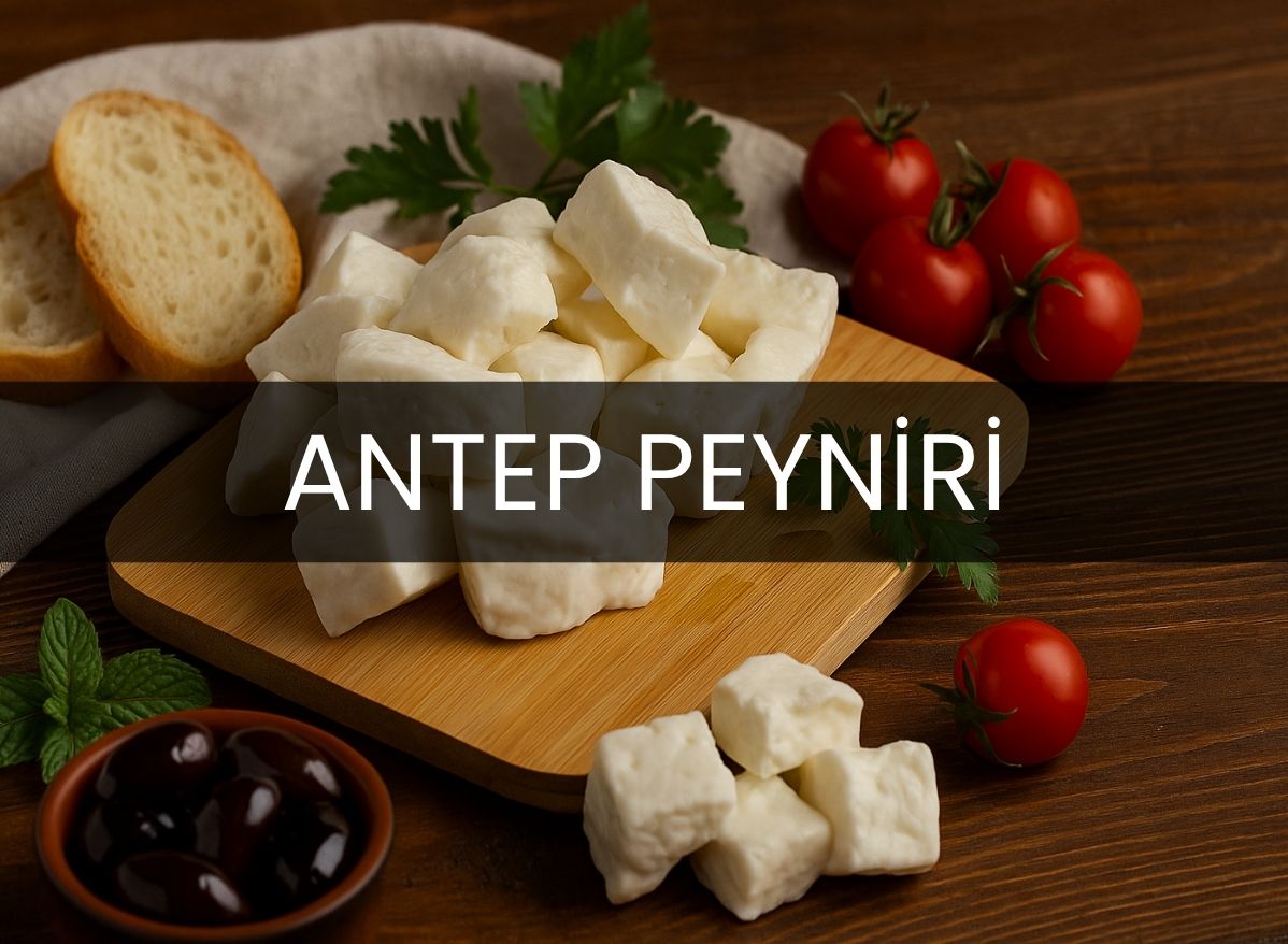 antep peyniri taze antep peyniri salamura antep peyniri