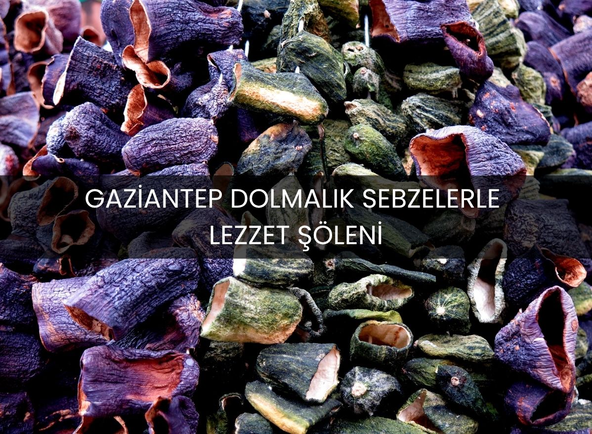 antep dolmalık sebzeler, patlıcan kurus, biber kurusu, acur kurusu, kabak kurusu