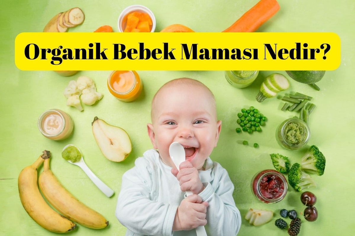 organik tahıllı bebek maması, organik pirinçli bebek maması, organik ek gıda, bebek kaşık maması çeşitleri