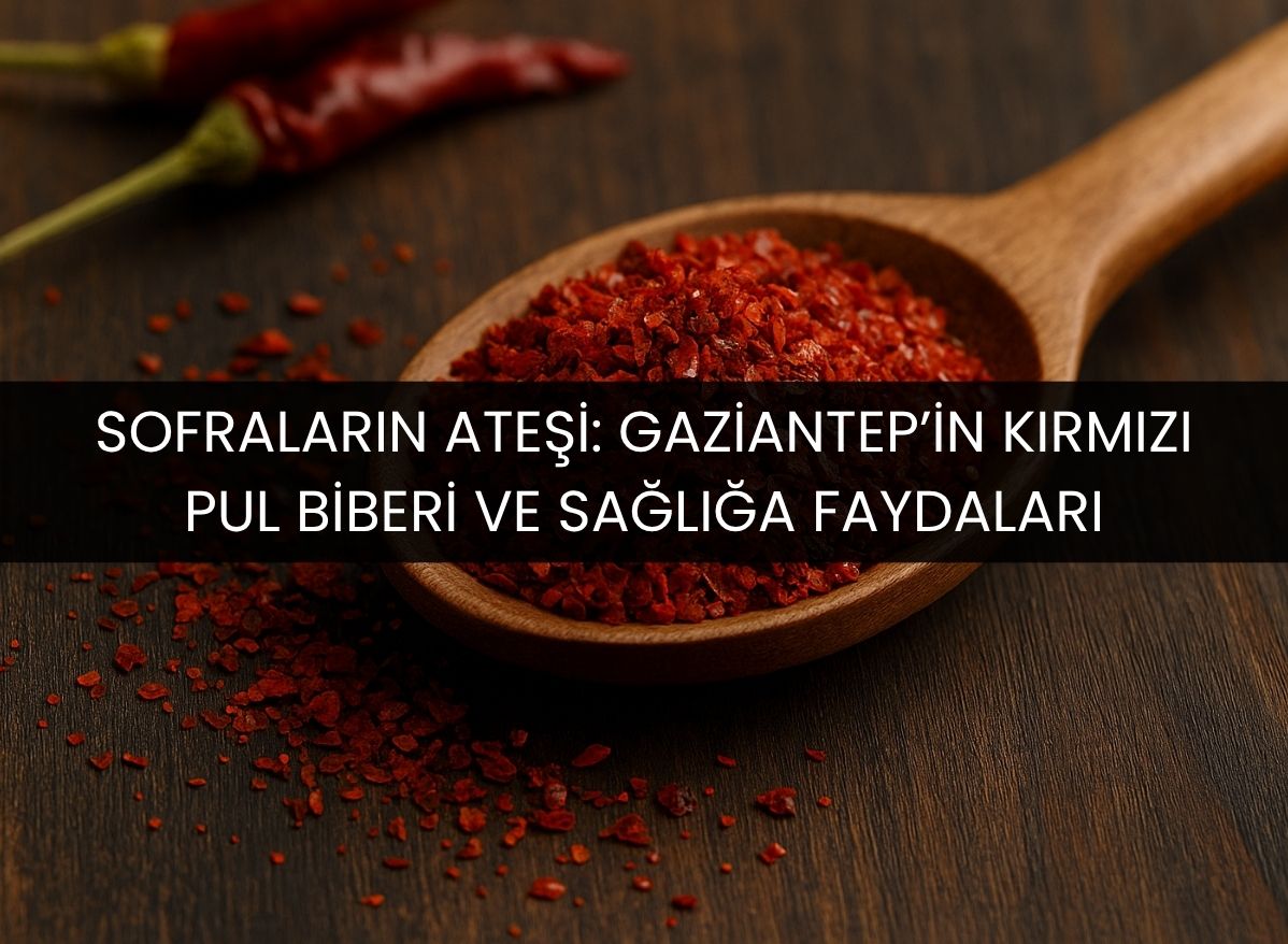 kırmızı antep pul biber