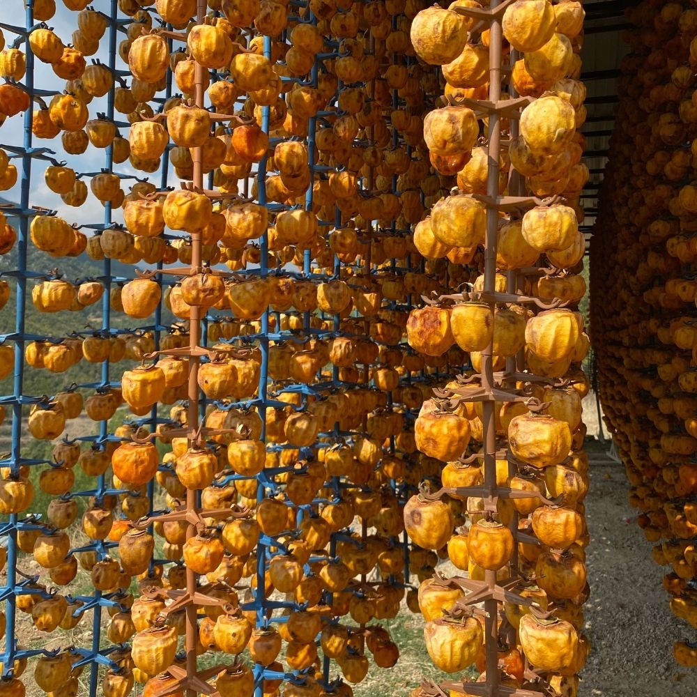 Kurutulmuş Cennet Hurması