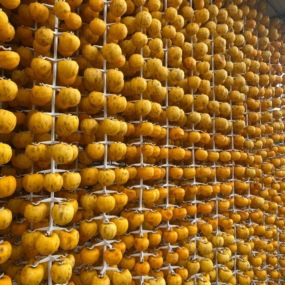 Kurutulmuş Cennet Hurması